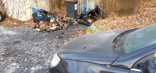 Bild zeigt eine abgebrannte Mülltonne und ein beschädigtes Auto