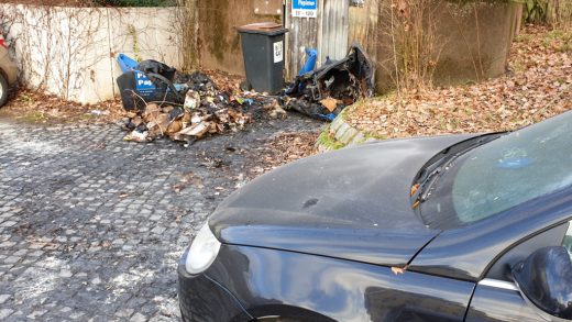 Bild zeigt eine abgebrannte Mülltonne und ein beschädigtes Auto