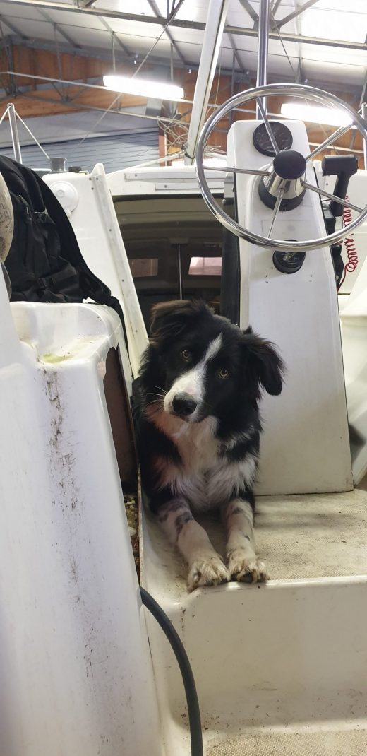 Foto: Paddy zum ersten mal an Bord